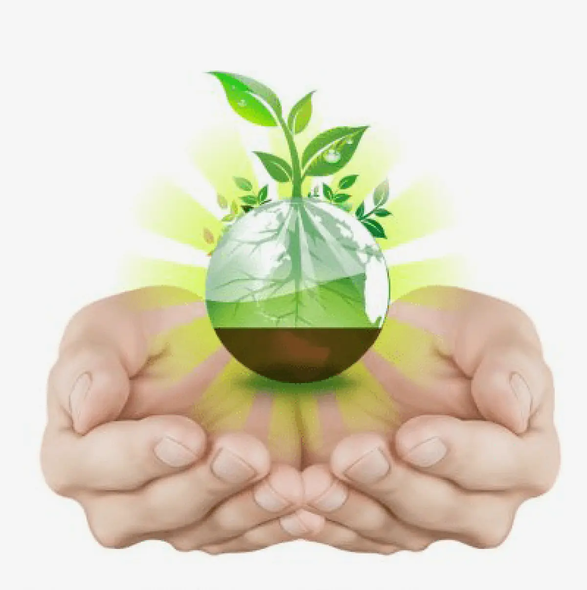 Sustainable Solution for Food Scraps