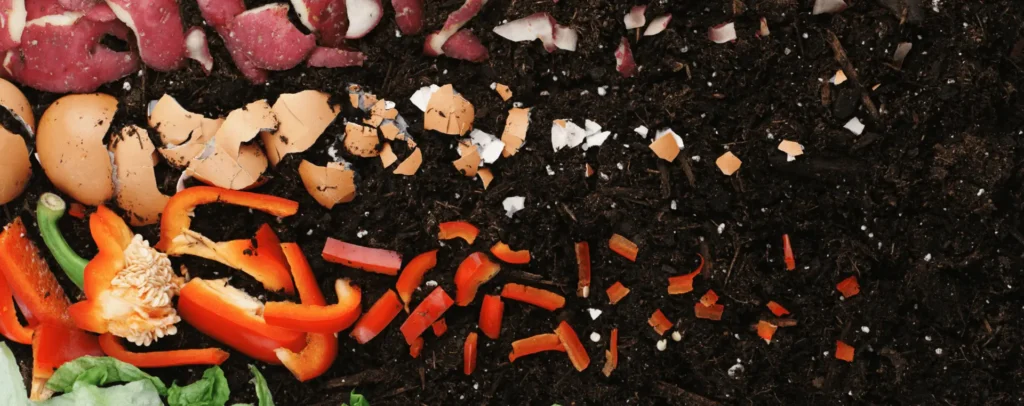 Best Food Composter