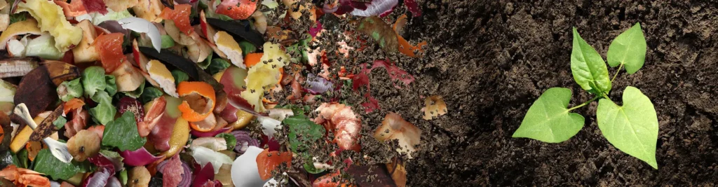 Creeks Food Composter