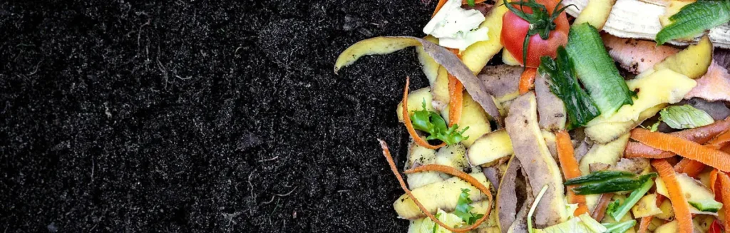 Creeks Food Composter
