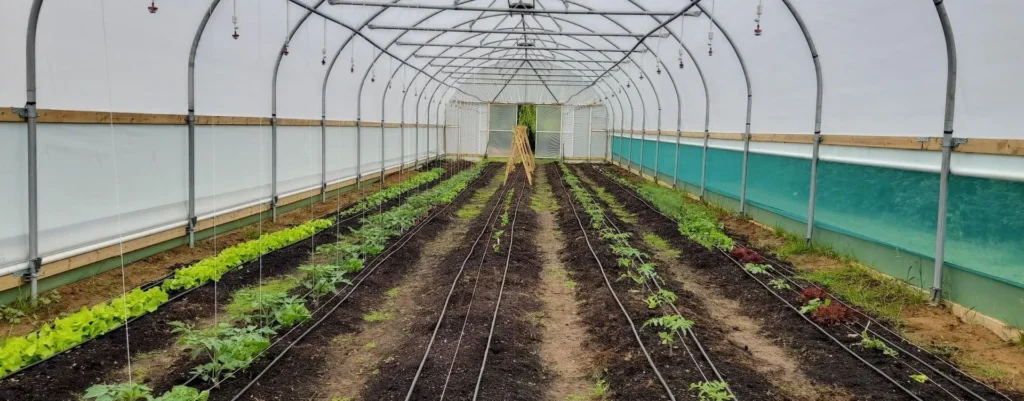 Creeks Komposter für Lebensmittel