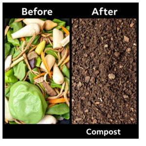 waste to compost management