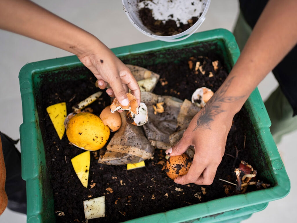 Electric Composters – An Eco Win or Unnecessary Appliance?