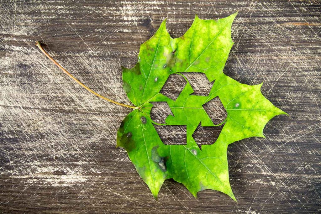 Top Recycling Tips for a More Sustainable Lifestyle