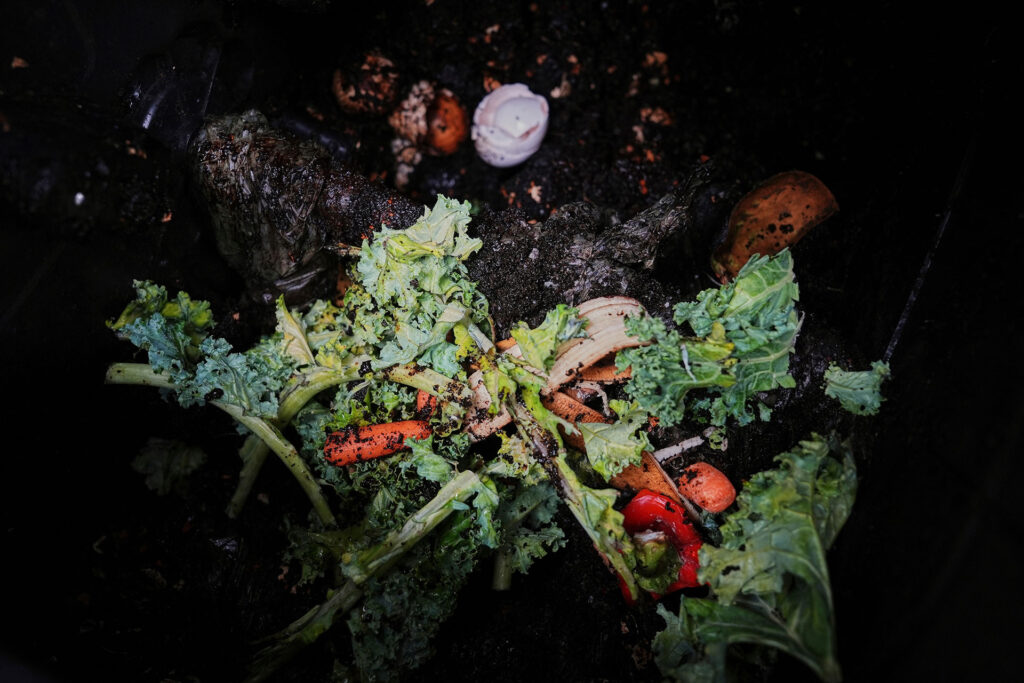 Electric Composter Price: How Much Does a Food Waste Machine Cost?